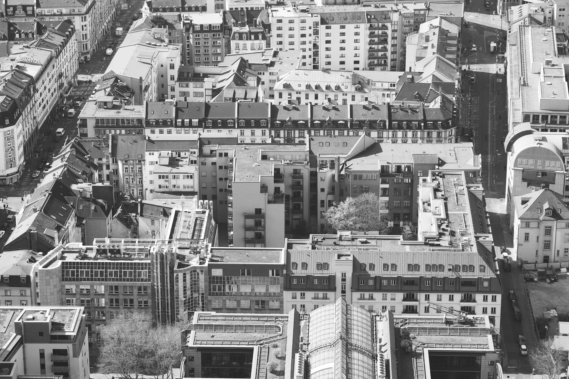 Frankfurt als Gründungsstandort 2026